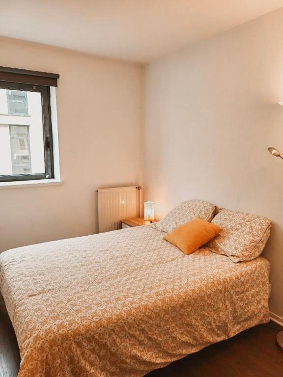 Bel Appartement Au Calme Avec Parking Lyon Ngoại thất bức ảnh