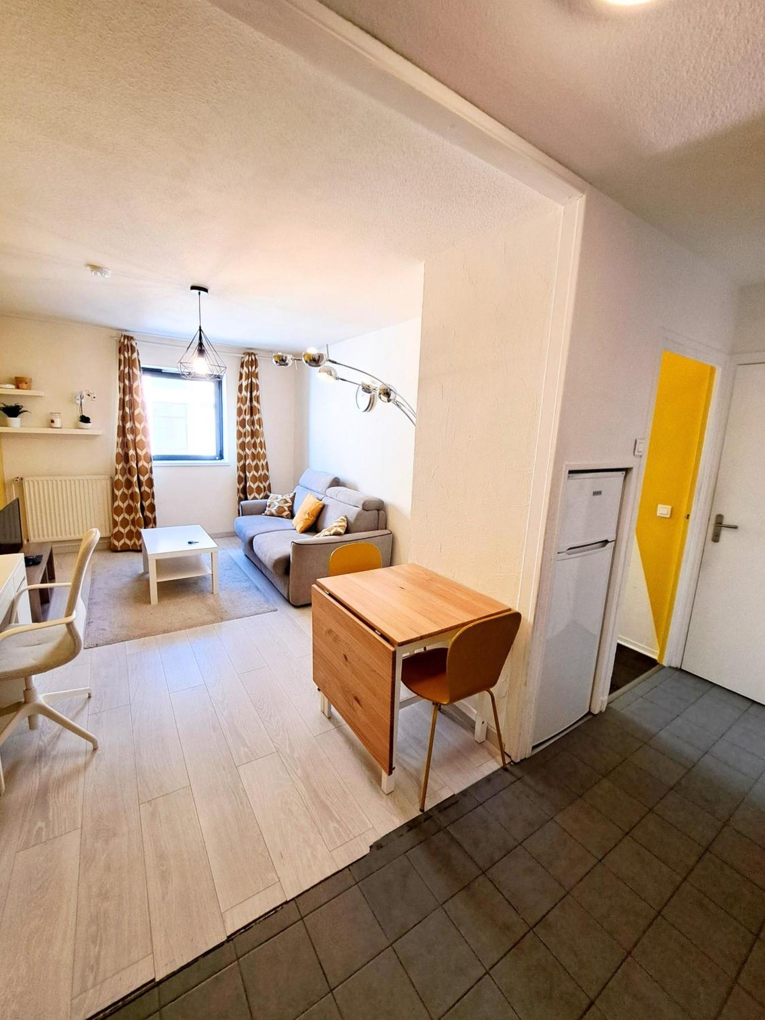 Bel Appartement Au Calme Avec Parking Lyon Ngoại thất bức ảnh